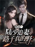 陆少重生之追妻日常小说免费阅读