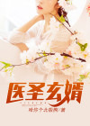 医圣玄婿