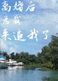离婚后总裁火葬场了