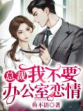 总裁我不要办公室恋情