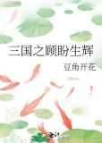 三国之顾盼生辉